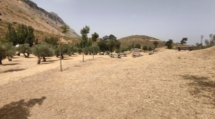 Antequera termina su campa&ntilde;a anual de desbroce en barrios y anejos