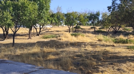 Propietarios y Ayuntamiento avanzan en la recepci&oacute;n del Sur-2 de Lucena