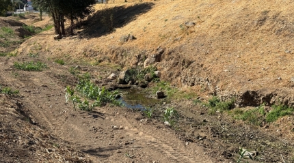 Antequera acondiciona cinco cauces urbanos antes de la temporada de lluvias