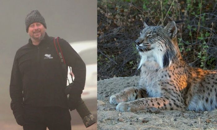Antonio Pestana y un lince ib&eacute;rico.