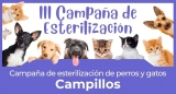Campillos pone en marcha una nueva campaña de esterilización de perros y gatos