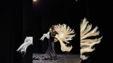 El festival de la escuela Reflejo regresa con un viaje por la historia del flamenco y de Lucena