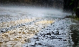 El temporal causa incidencias por balsas de agua y caída de piedras en vías de Osuna y Los Corrales