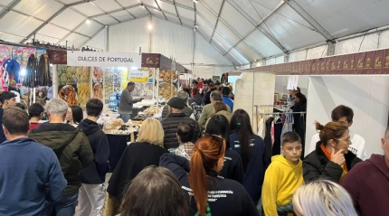FENCAZA regresa a Alameda con una semifinal de cetrer&iacute;a como novedad