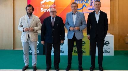 Diputaci&oacute;n y FEDEME plantean nuevas v&iacute;as para impulsar la industria sevillana