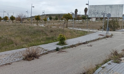 AVRA preparar&aacute; el estudio sobre la viabilidad de la subestaci&oacute;n de Lucena y Cabra
