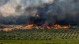 La alcaldesa de Humilladero pide reforzar la prevenci&oacute;n tras el incendio forestal de la Sierrecilla