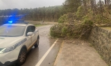 Da&ntilde;os en la carretera N-331A.