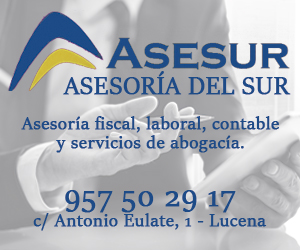 ASESUR