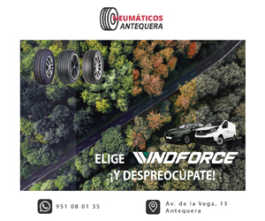NEUMATICOS ANTEQUERA