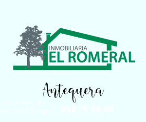 INMOBILIARIA EL ROMERAL