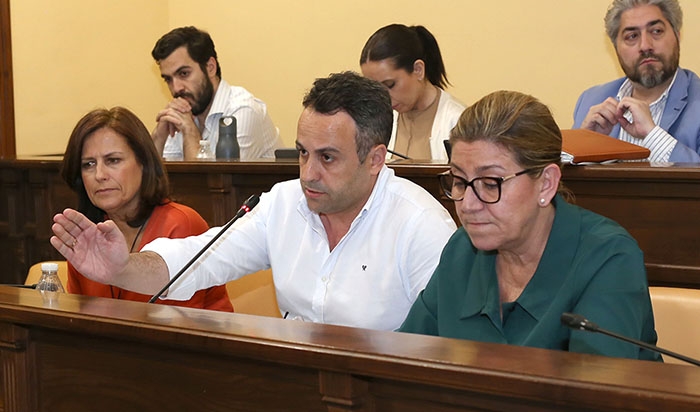 El concejal de Servicios Operativos, Javier Pineda, interviene en la &uacute;lltima sesi&oacute;n plenaria.