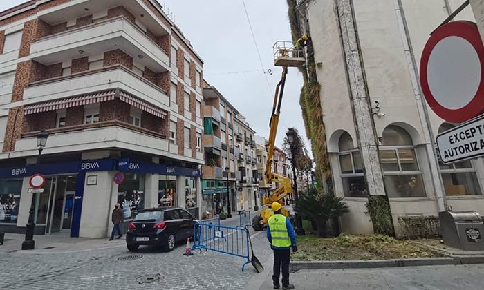Inicio de los trabajos de eliminaci&oacute;n del jard&iacute;n vertical.