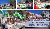 La Sierra Sur se moviliza en la multitudinaria manifestación en Sevilla en defensa de la sanidad pública