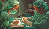 El Hospital de Antequera registra una donaci&oacute;n de &oacute;rganos en lo que va de a&ntilde;o
