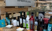 La DOP Aceite de Lucena destaca la calidad en los aceites a pesar de las problem&aacute;ticas existentes en el sector agr&iacute;cola