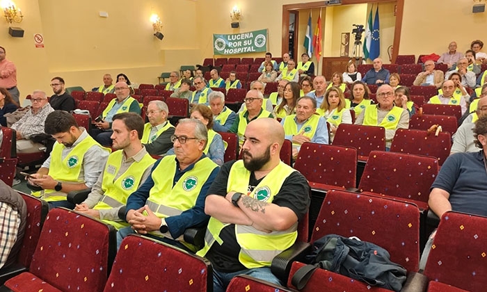 Presencia de la mesa sanitaria en el sal&oacute;n de plenos.