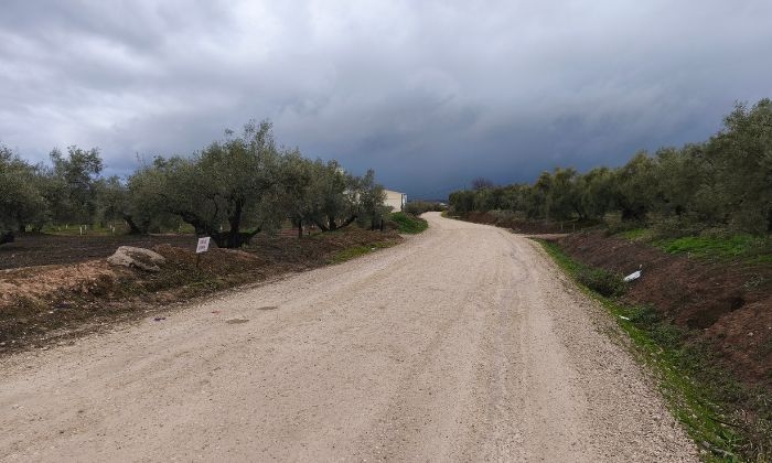 Mejorana elevar&aacute; al Comit&eacute; de Fondos Europeos las alegaciones contra los sondeos en La Sierrezuela de Lucena