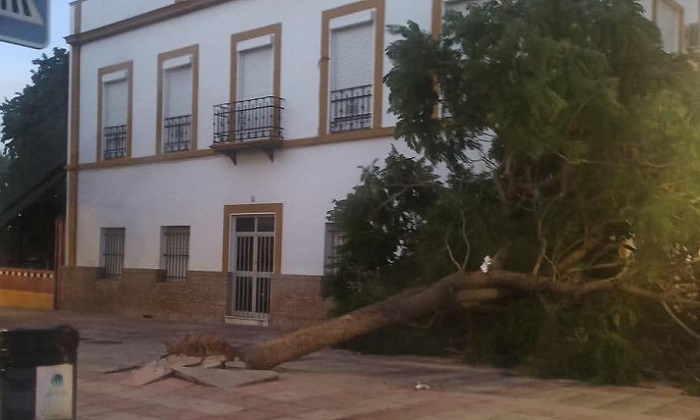 El temporal deja vientos de m&aacute;s de 100 km/h, causa numerosas incidencias y apagones en la Sierra Sur y Campi&ntilde;a sevillana