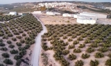 Un Plan B&aacute;sico actualizar&aacute; las normas urban&iacute;sticas de Montalb&aacute;n y fomentar&aacute; el desarrollo de viviendas