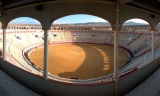 Lucena, sede de la Final del XXVI Ciclo de Becerradas