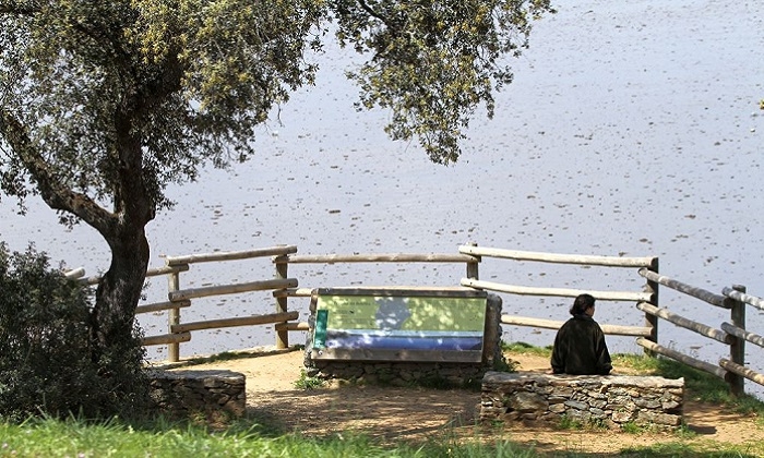 Los pantanos del Plan &Eacute;cija multiplican por cinco sus reservas de agua en 2024