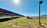 Endesa instala refugios para aves en sus parques solares de Teba