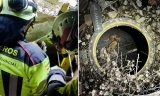 Rescatan a dos cachorros que hab&iacute;an sido arrojados a dos fosas de una antigua gasolinera de Mollina