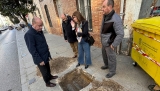 El Ayuntamiento de Antequera retira los aboles de la calle Calzada “porque se plantaron sobre tuberías”