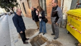 El Ayuntamiento de Antequera retira los aboles de la calle Calzada &ldquo;porque se plantaron sobre tuber&iacute;as&rdquo;