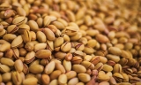 José Aguilar, agricultor: “El pistacho resiste al secano, pero no está en condiciones óptimas”