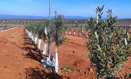 Jornada informativa en Herrera sobre el proyecto DEMOFARM