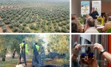 La DO Estepa afronta este 2025 con el reto de situarse como referente nacional agroalimentario