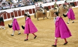 Abierto el plazo para presentar ofertas para organizar los festejos taurinos de Antequera en 2024