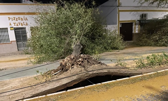 Las comarcas de Osuna y &Eacute;cija eval&uacute;an los da&ntilde;os por la borrasca en instalaciones deportivas, viviendas y servicios p&uacute;blicos