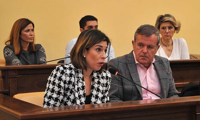 Grupo del PSOE en el sal&oacute;n de plenos