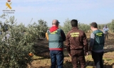 Efectivos de la Guardia Civil en una zona agr&iacute;cola.