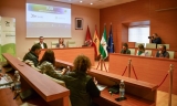 La comarca de Osuna presenta su Plan Estrat&eacute;gico de la Agenda Urbana para optar a fondos FEDER