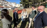 Una plaga de escarabajos ataca un pinar junto a la Alcazaba de Antequera
