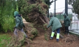 Las ayudas de la Junta a ayuntamientos en la Sierra Sur y Campi&ntilde;a sevillana por las borrascas suman 600.000 euros