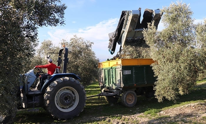 Trabajos agr&iacute;colas.