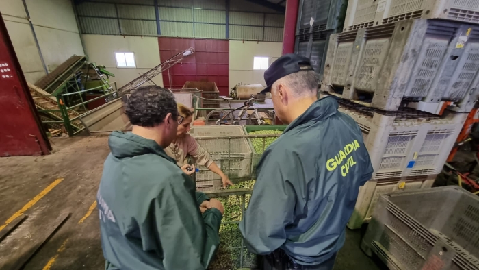 M&aacute;s controles y coordinaci&oacute;n con municipios y agricultores: as&iacute; encara la Guardia Civil la campa&ntilde;a m&aacute;s dif&iacute;cil contra los robos en el olivar