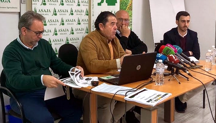 La facturaci&oacute;n del campo malague&ntilde;o cae a niveles de hace una d&eacute;cada y ASAJA habla de &ldquo;debacle&rdquo;