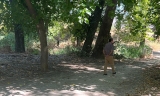 Parque del Cascajar, en Lucena.