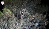 Rescatan a un parapentista atrapado en la copa de un árbol en Villanueva del Trabuco