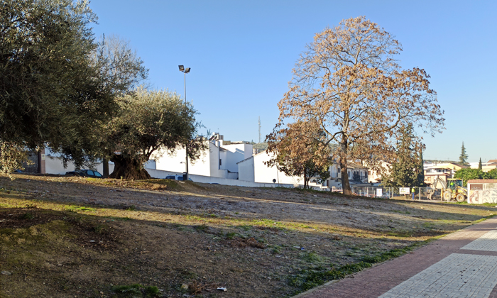 Parcela de la futura sede judicial de Lucena, en la Huerta del Carmen.