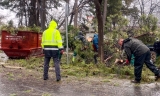 Karlotta deja registros de 46,8 litros en Villanueva de la Concepci&oacute;n o de 22 en Fuente de Piedra