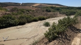 Obras de emergencia en el arroyo Salado para asegurar la conexi&oacute;n Montilla-Montalb&aacute;n