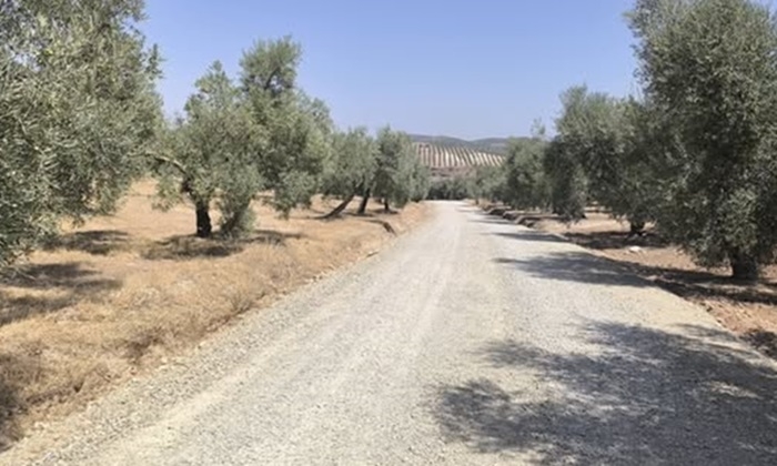 La Sierra Sur avanza en el arreglo de caminos rurales da&ntilde;ados por las borrascas