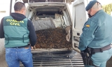 Uno de los operativos de la Guardia Civil.